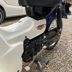 スズキ　バーディー  50   極美車　の画像