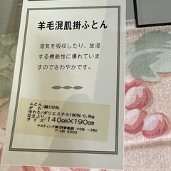 PIERRE BALMAIN羊毛混肌布団の画像