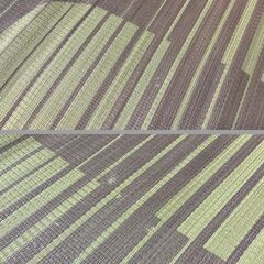 ラグ カーペット マット 幅230cm×奥行176cm の画像