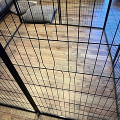 大型犬　ペットサークルの画像