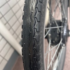 PELTECH TDN-212LｰBE E-BIKE の画像