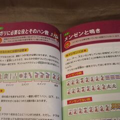 麻雀初心者セット(麻雀パイと入門書1冊)の画像