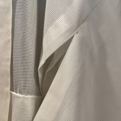 ながじ長襦袢の画像