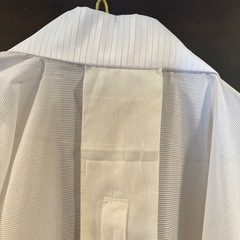 ながじ長襦袢の画像