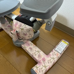 オアシス　ステッパーの画像