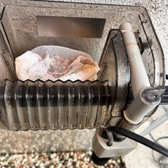 60cmガラス水槽セットの画像