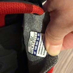 サッカー　
ミズノ25cm　トレーニングシューズの画像