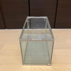 【取り引き中】水槽　テトラの画像
