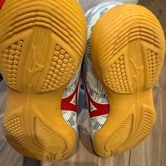 サッカー　
フットサル24.5cm室内シューズの画像