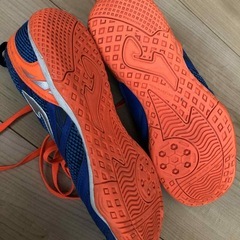 〔まだまだ現役〕フットサルシューズ25cmの画像