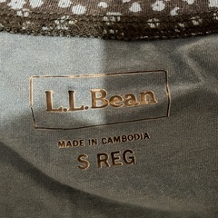 L.L Bean ワンピース（ドット柄・右の写真）＆それに合わせたインナーの画像