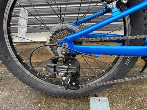 【美品】TREK Precaliber 20 子ども用自転車 マウンテンバイク