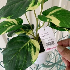 ★ワイヤー入りカゴとフェイクグリーンのセット★の画像