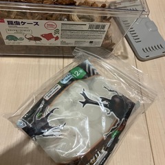 【募集中】昆虫飼育ケース　ゼリー　DAISOの画像
