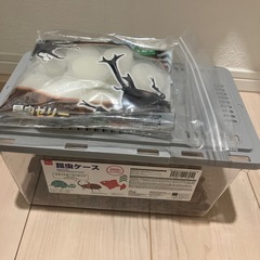 【募集中】昆虫飼育ケース　ゼリー　DAISOの画像