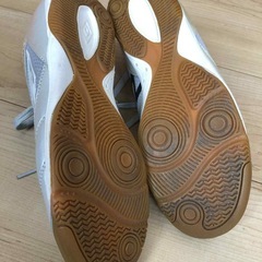 〔状態良好〕フットサルシューズ25cmの画像