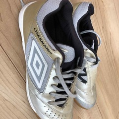 〔状態良好〕フットサルシューズ25cmの画像