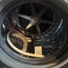 ドラム式洗濯乾燥機（Panasonic NA-VX7800L）の画像