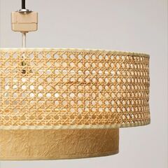 JOURNAL STANDARD FURNITURE ジャーナルスタンダードファニチャー DAFNE CEILING LAMP ダフネ シーリングランプ 口金E26 LED対応 ラタン製 天井照明 インテリア照明 照明 ランプの画像