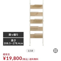 キャットステップの画像
