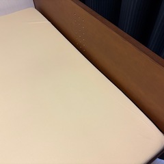 トゥルースリーパー プレミアム ダブル　低反発万能まくら（新品）付きの画像