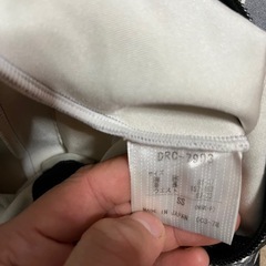 アルペンスキー　デサント　ワンピース　の画像