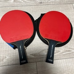  卓球ラケット一本の画像