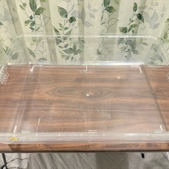 ルーミィ60 ベーシックの画像