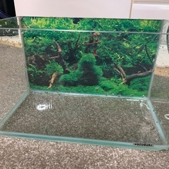 水槽4個セット　一個は濾過がついてますの画像