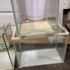 水槽4個セット　一個は濾過がついてますの画像