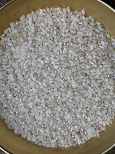農家 蔵出し処分/10.26/精米R6年産/姫ごのみ/10kg