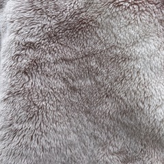 あげます 毛布 シングルサイズの画像