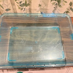 ルーミィ ベーシック ブルーの画像