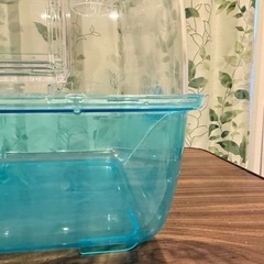 ルーミィ ベーシック ブルーの画像