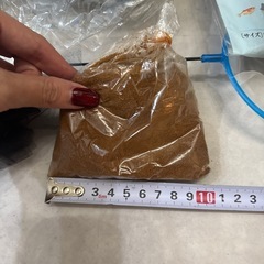 メダカの餌　産卵床　うきわ　タモの画像
