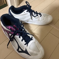 バレーシューズの画像