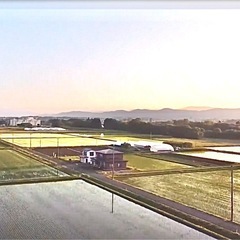 【米類投稿承認済】新米5kg「ひとめぼれ」白米の画像