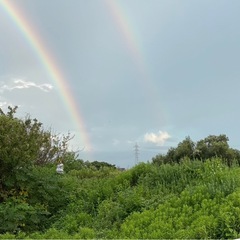（新規Open）街の便利屋さん