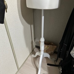 トルソーの画像