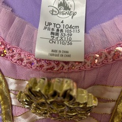 ラプンツェルのドレスの画像