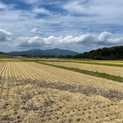 新米ヒノヒカリ籾米30キロの画像