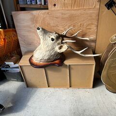 蝦夷鹿の剥製 壁飾りの画像