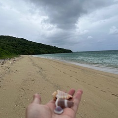 お散歩のついでの画像