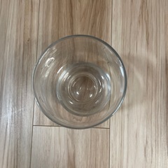 球根　花瓶の画像