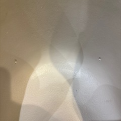 バンボの画像