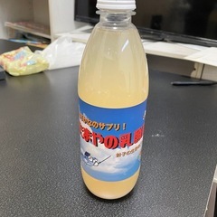 メダカ　たまやの乳酸菌の画像