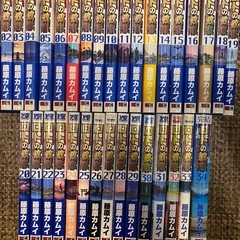 ドラゴンクエスト列伝 ロトの紋章　全21巻セット ロトの紋章ー紋章を継ぐ者たちへー　全34巻セット 精霊の守り人　全3巻セット  藤原カムイ　全58冊セット の画像