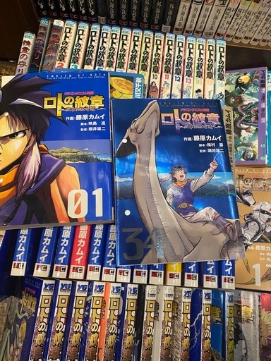 ドラゴンクエスト列伝 ロトの紋章　全21巻セット ロトの紋章ー紋章を継ぐ者たちへー　全34巻セット 精霊の守り人　全3巻セット  藤原