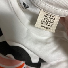 リーバイスTシャツand半パンツの画像