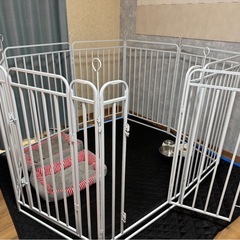 最終価格、ゲージ
の画像